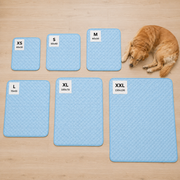 Frostcore Breeze™ – Kjølende Hundematte for varme dager