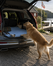 Frostcore Breeze™ – Kjølende Hundematte for varme dager